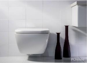 墻排(pai)馬桶(tong)品(pin)牌(pai)排(pai)名與(yu)衛(wei)生(sheng)潔(jie)具銷售(shou)趨勢解析