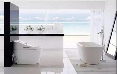 越南(nan)衛(wei)生潔(jie)具市(shi)場報(bao)告 年產(chan)能(neng)突破2500萬(wan)件，行(xing)業銷售格局(ju)深度解(jie)析(xi)